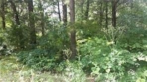 0.12 acres in Grayson County - photo 5