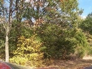 0.12 acres in Grayson County - photo 4