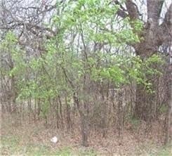 0.12 acres in Grayson County - photo 3