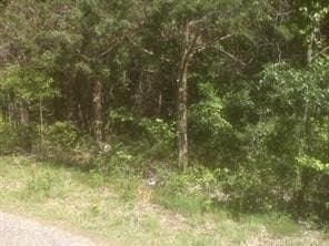 0.12 acres in Grayson County - photo 2
