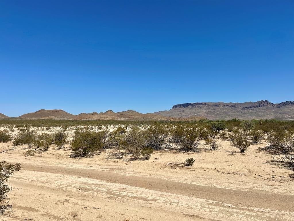 5 acres in Brewster County - photo 4