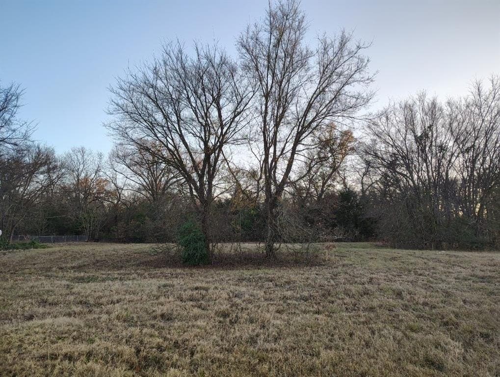 0.49 acres in Wood County - photo 7