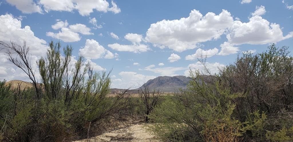 5 acres in Brewster County - photo 2