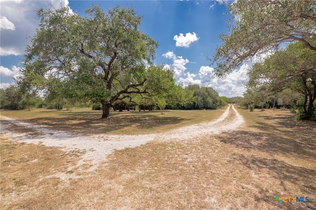 24.23 acres in Goliad County - photo 45