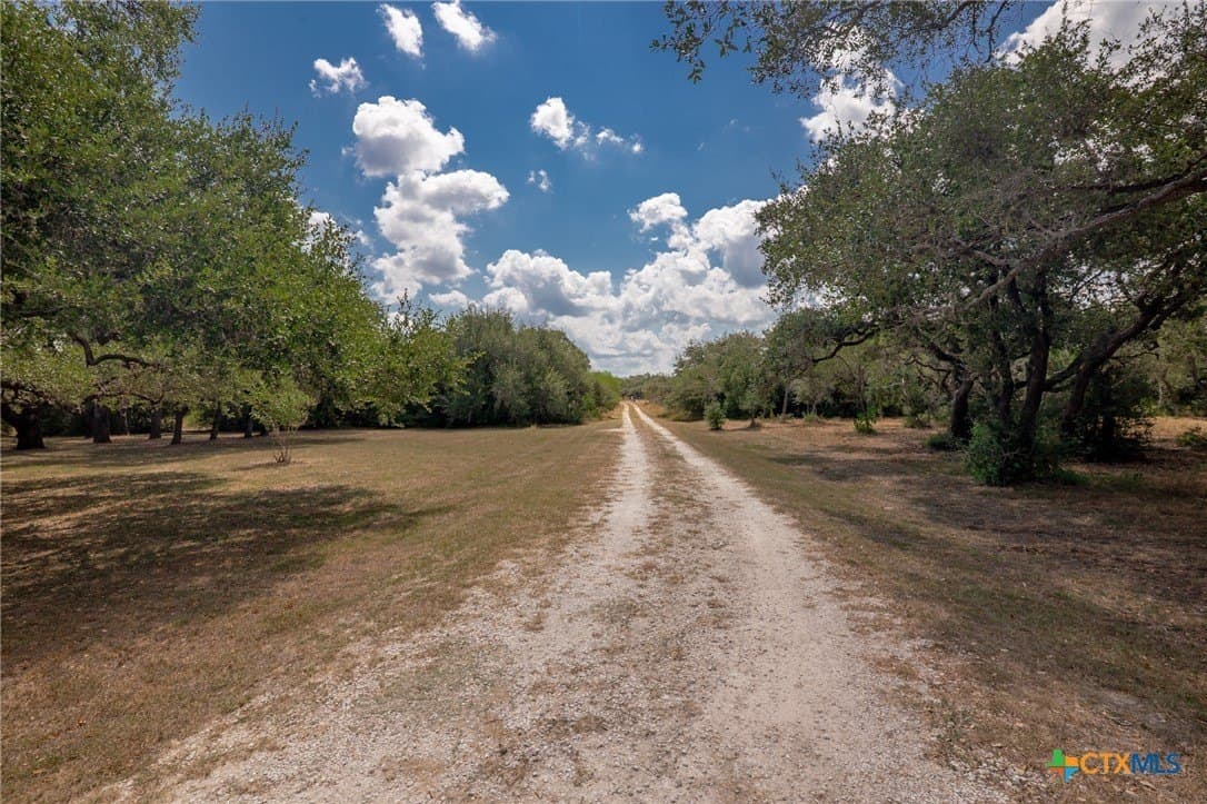 24.23 acres in Goliad County - photo 40