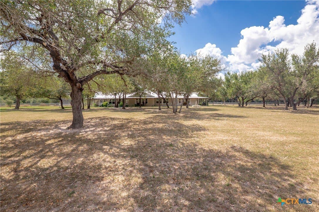 24.23 acres in Goliad County - photo 8