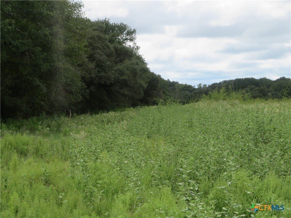 294 acres in Jackson County - photo 13