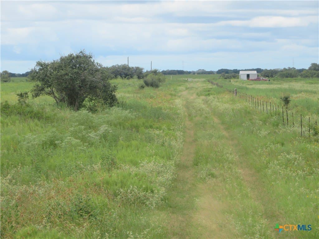 294 acres in Jackson County - photo 6