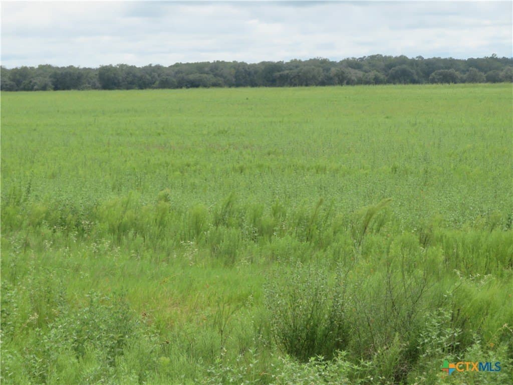 294 acres in Jackson County - photo 5