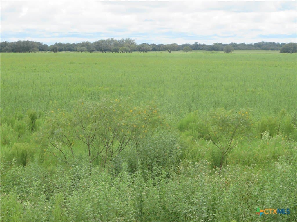 294 acres in Jackson County - photo 3