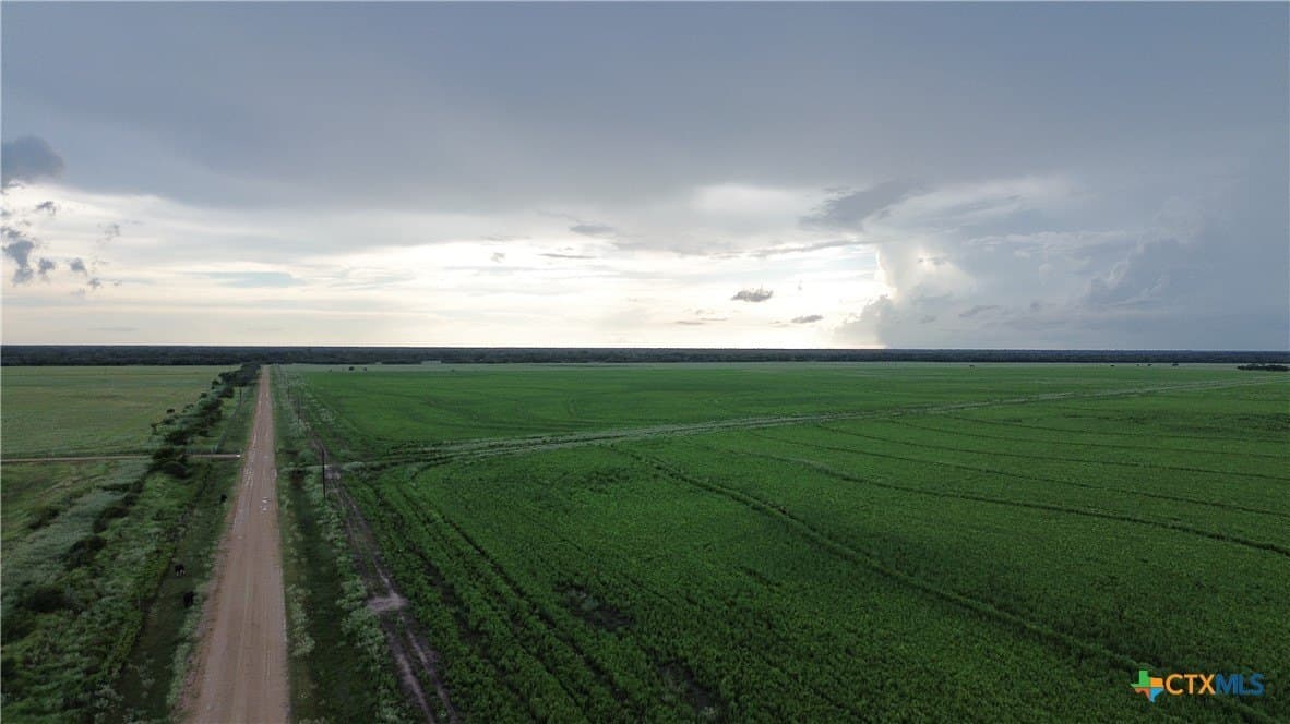 294 acres in Jackson County - photo 16