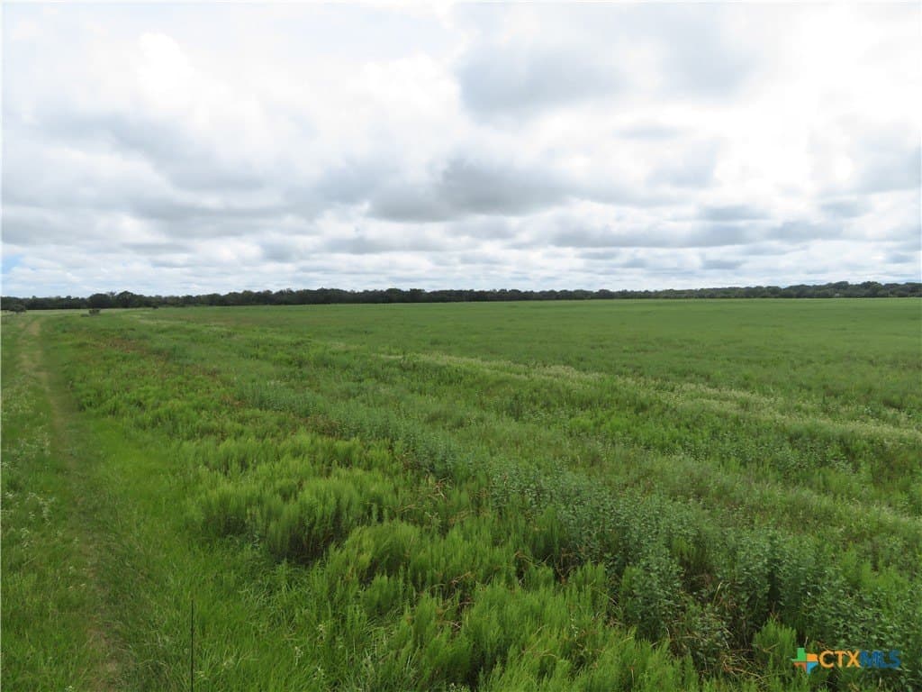 294 acres in Jackson County - photo 8