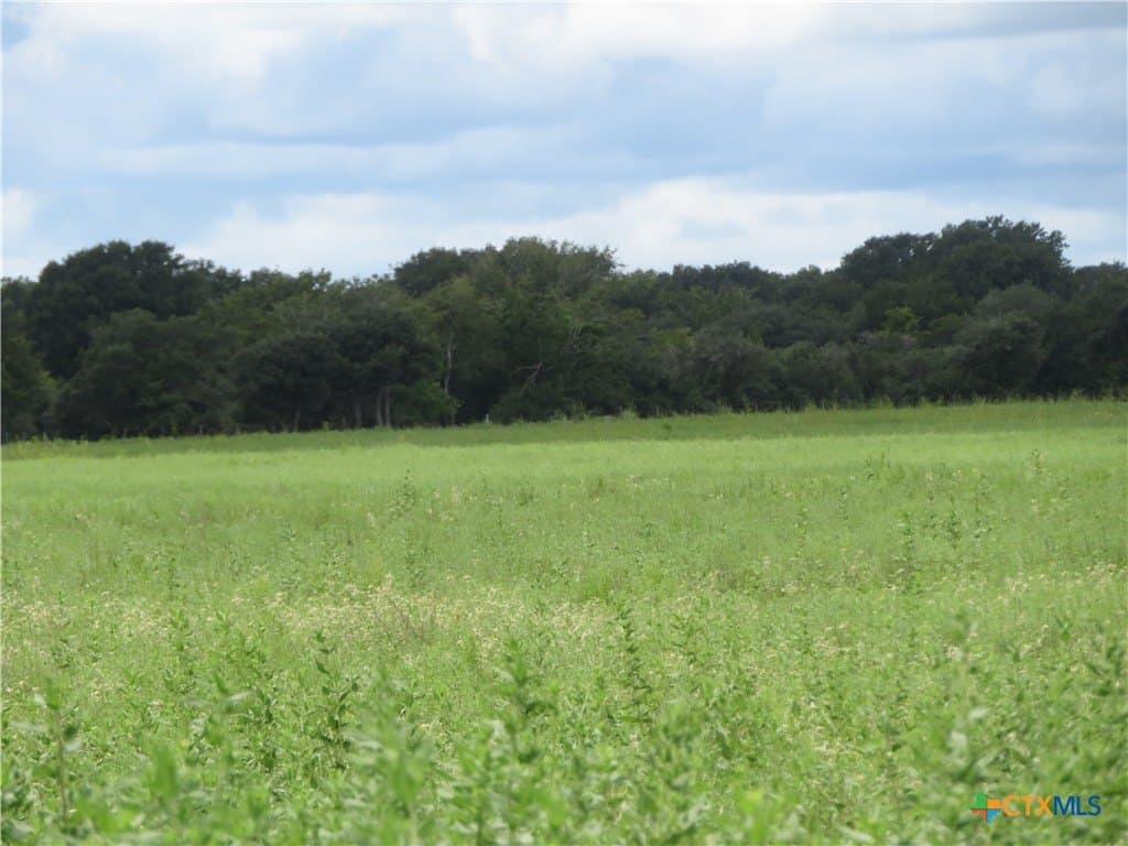 294 acres in Jackson County - photo 14