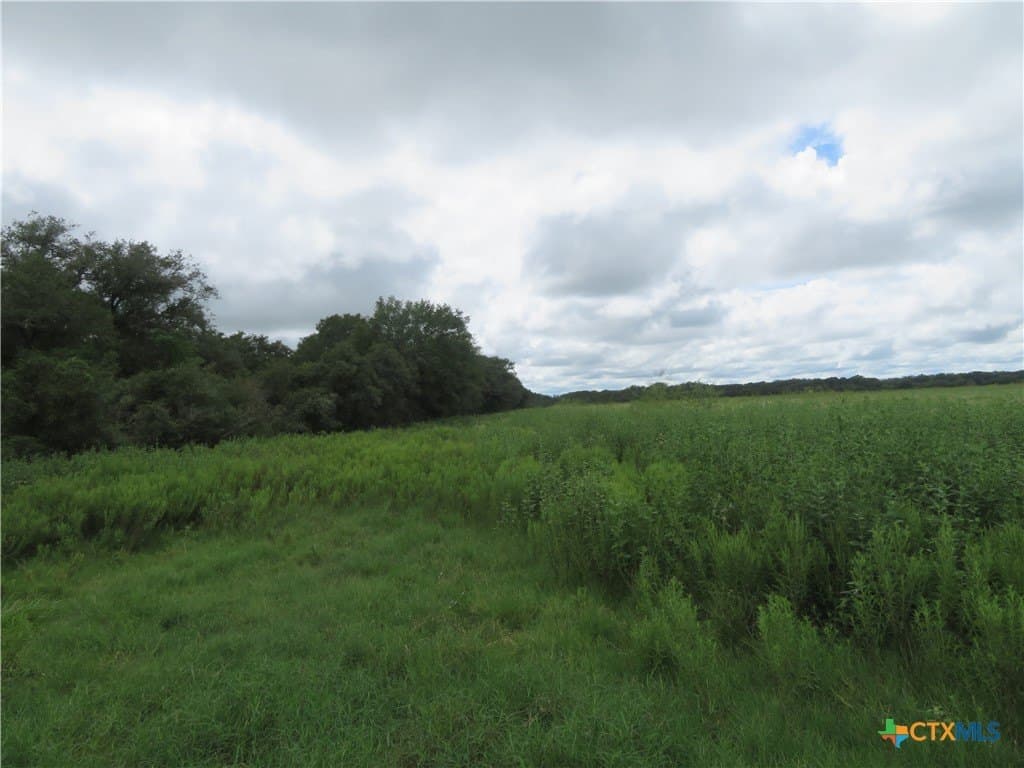 294 acres in Jackson County - photo 10