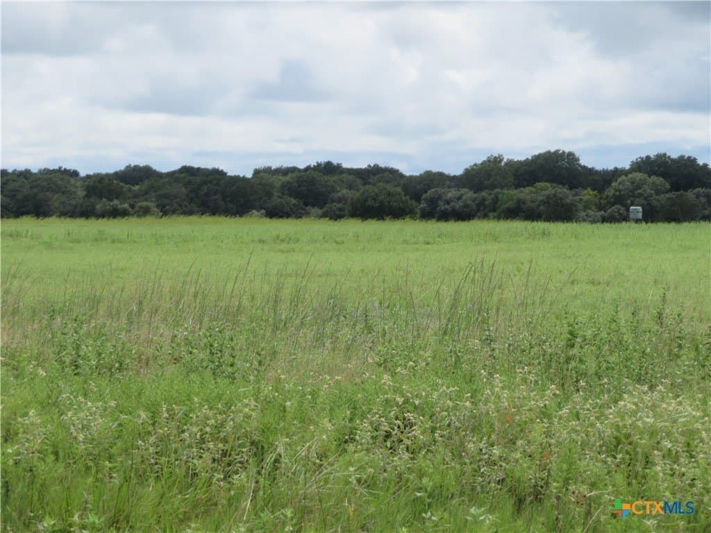 294 acres in Jackson County - photo 15