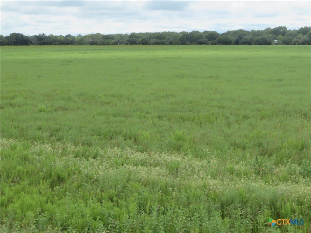 294 acres in Jackson County - photo 9
