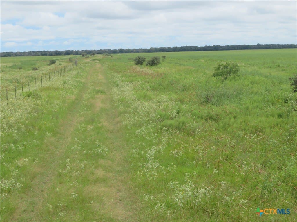 294 acres in Jackson County - photo 4