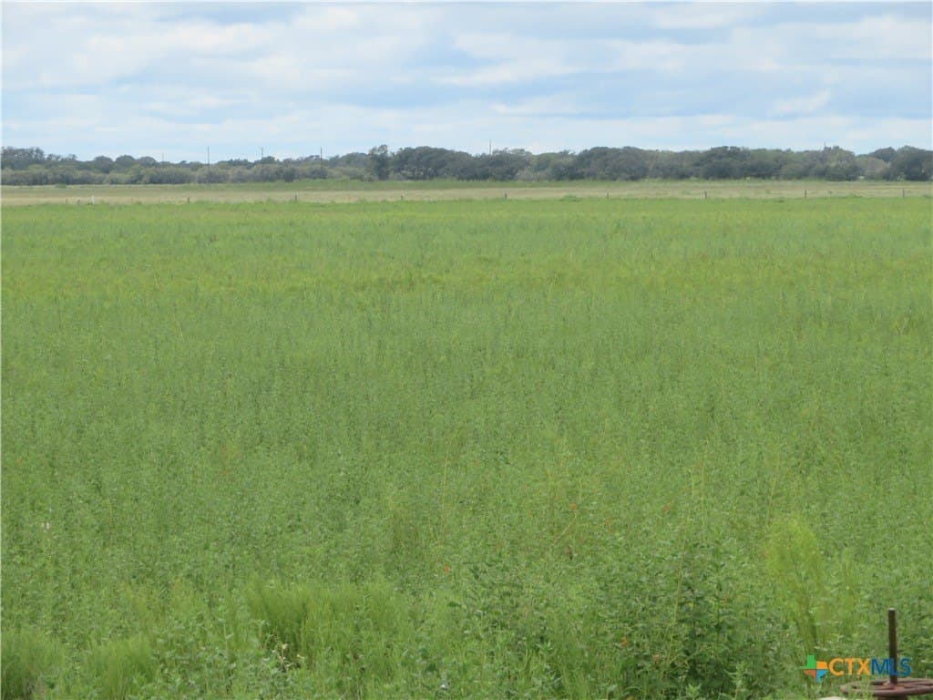 294 acres in Jackson County - photo 7