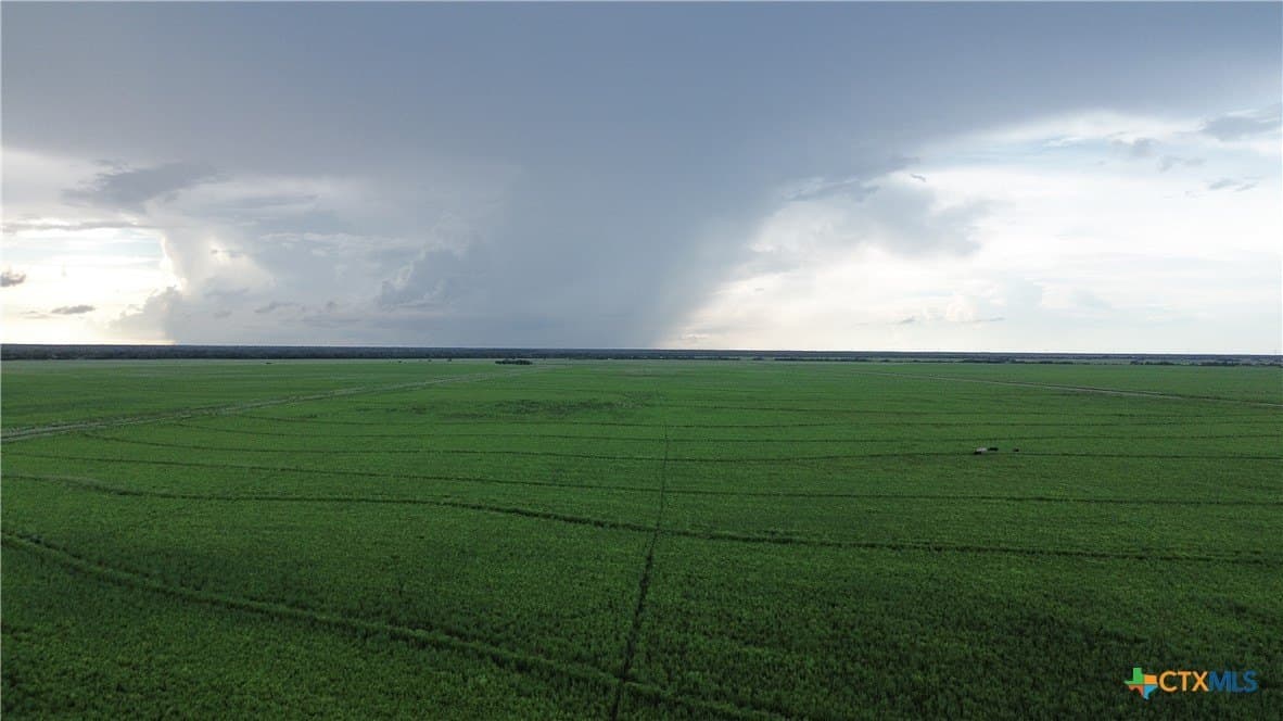 294 acres in Jackson County - photo 17