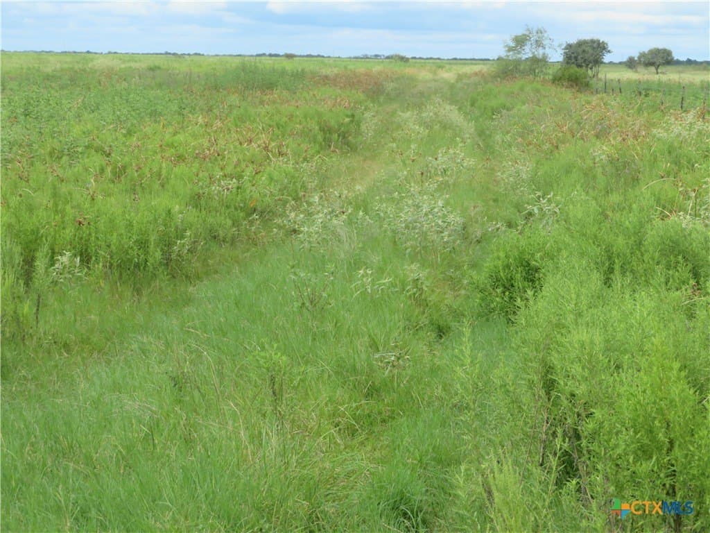 294 acres in Jackson County - photo 2