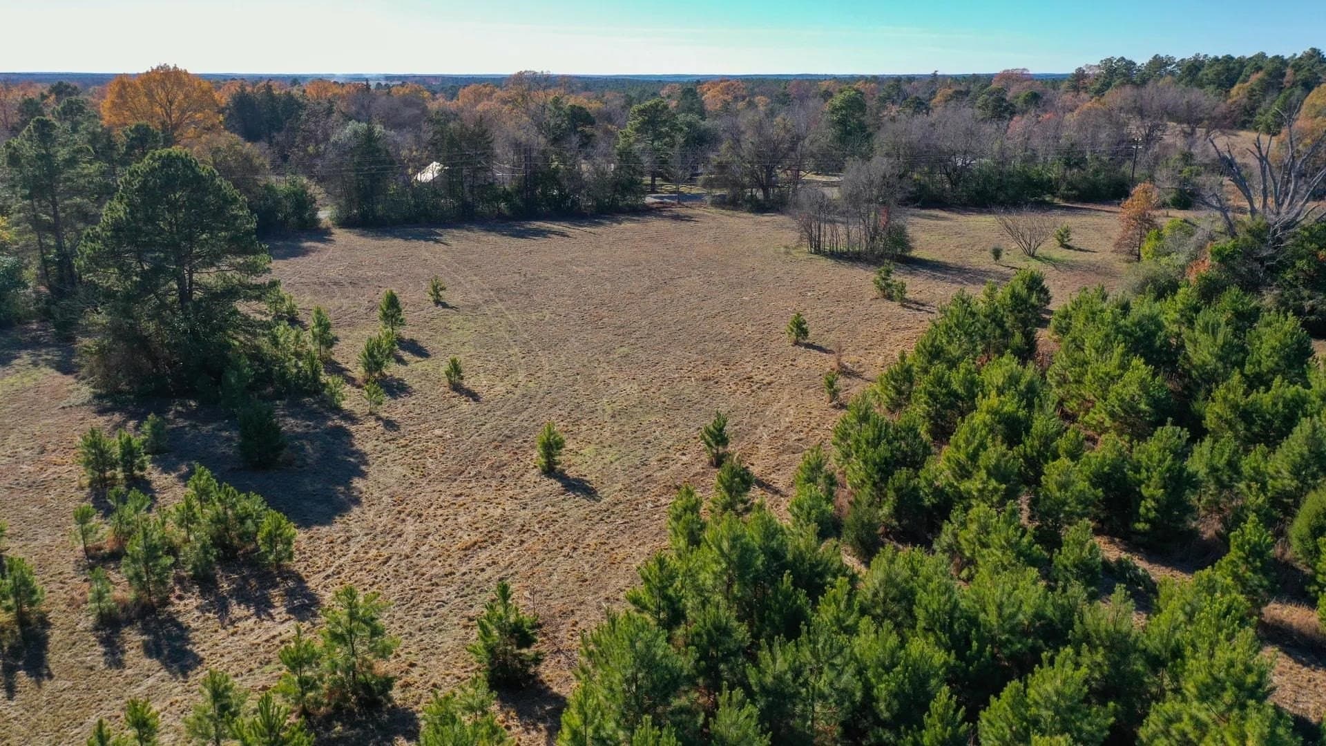 13.48 acres in Cass County - photo 7