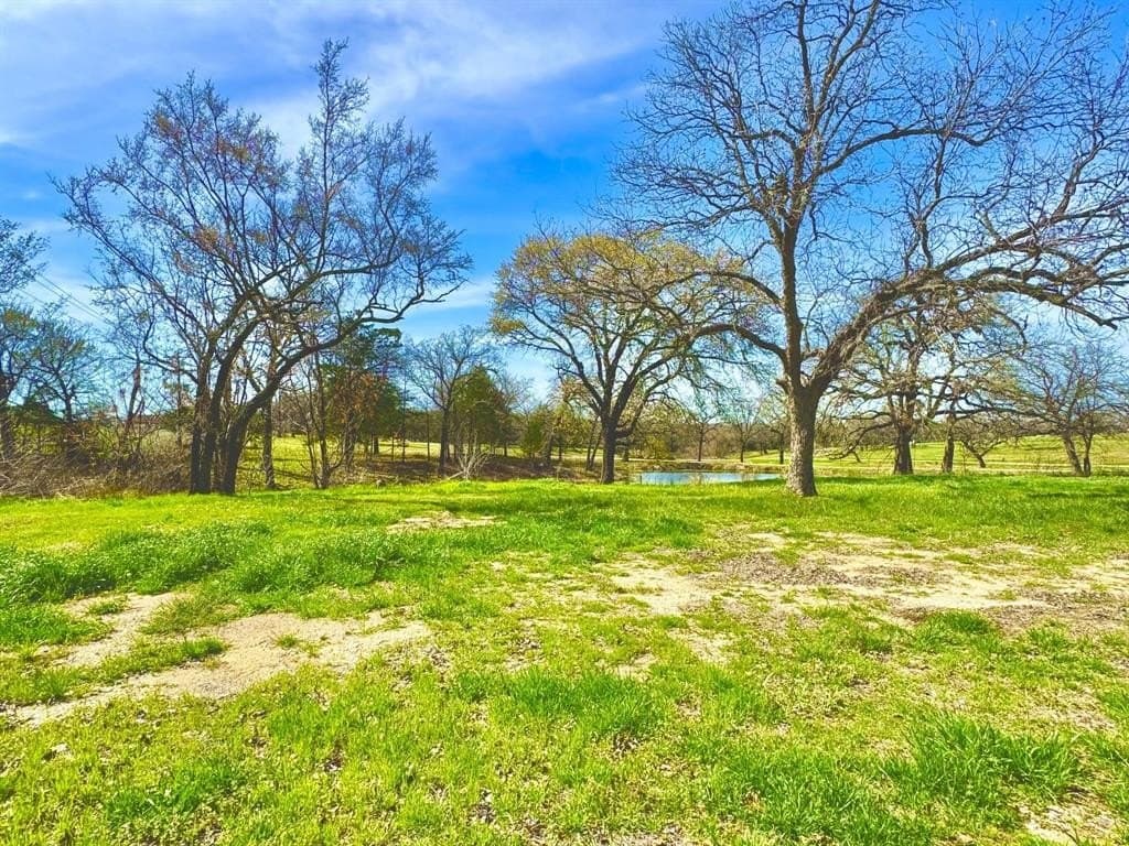 0.29 acres in Grayson County - photo 8