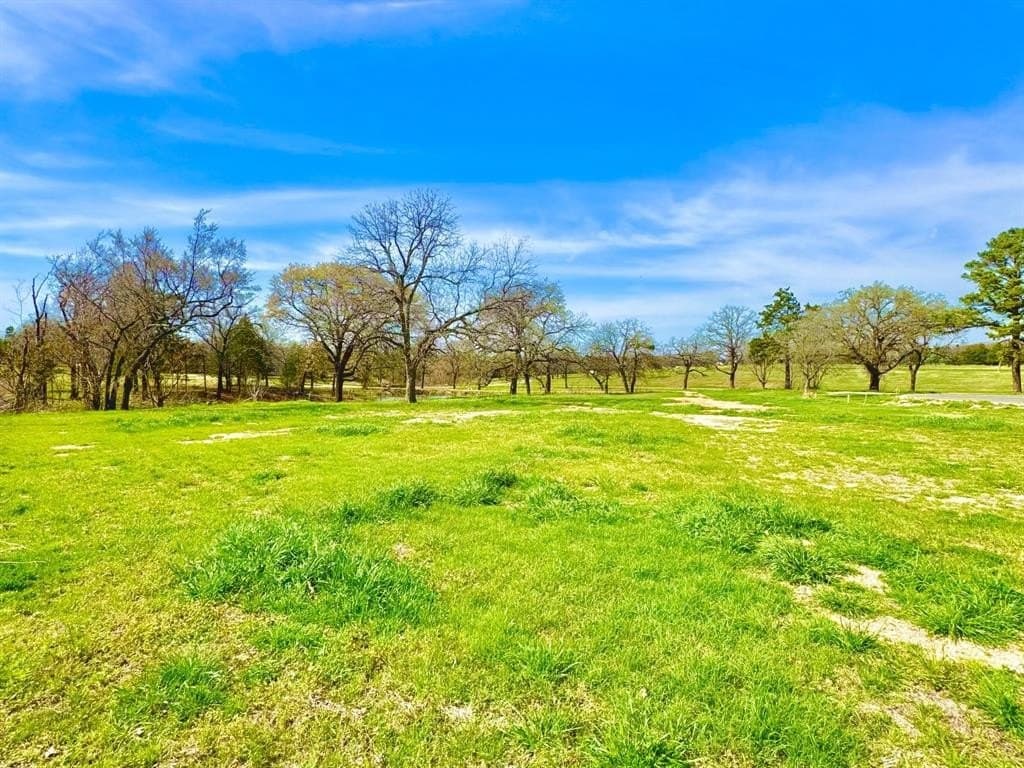 0.29 acres in Grayson County - photo 11