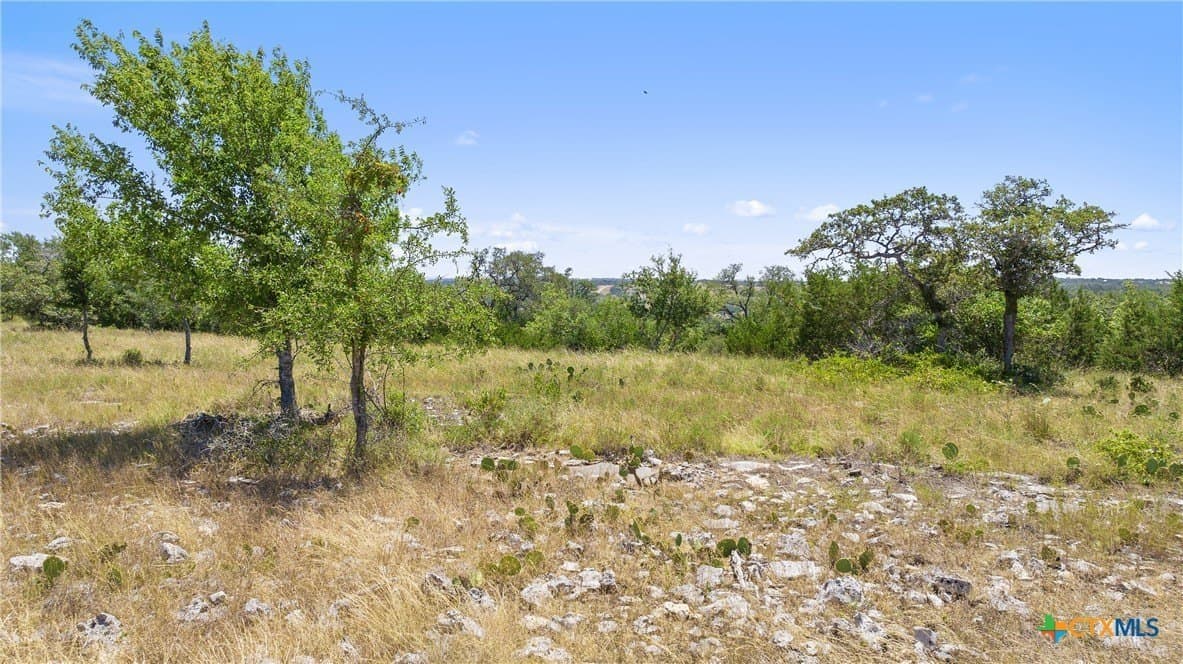 13.65 acres in Blanco County - photo 6