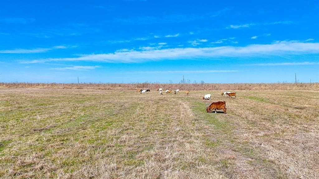5 acres in Navarro County - photo 4