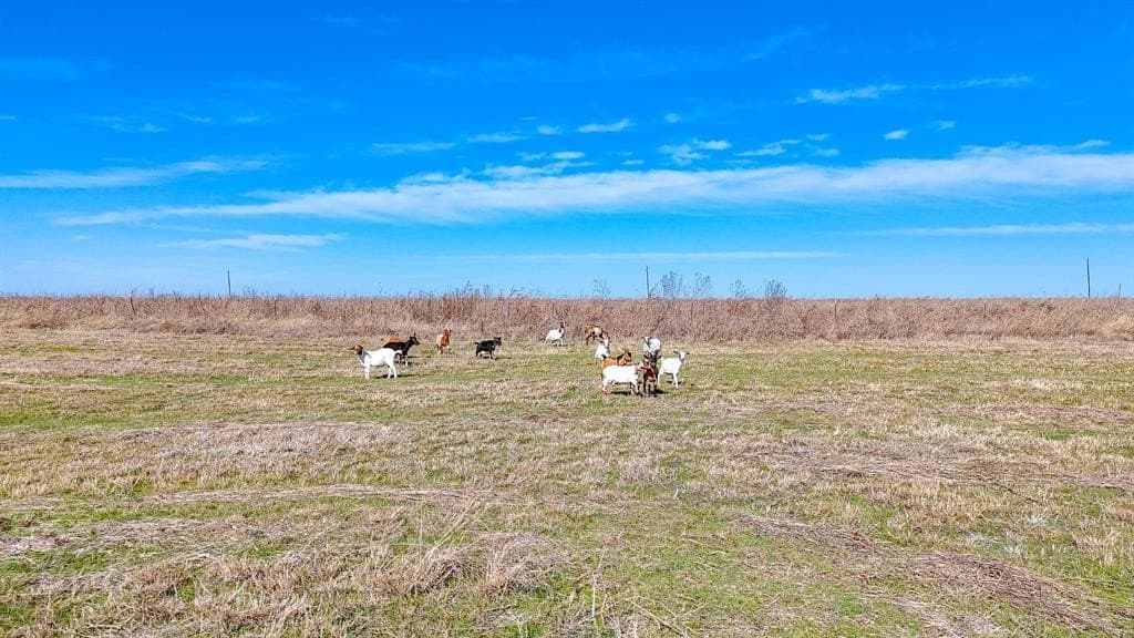 5 acres in Navarro County - photo 2