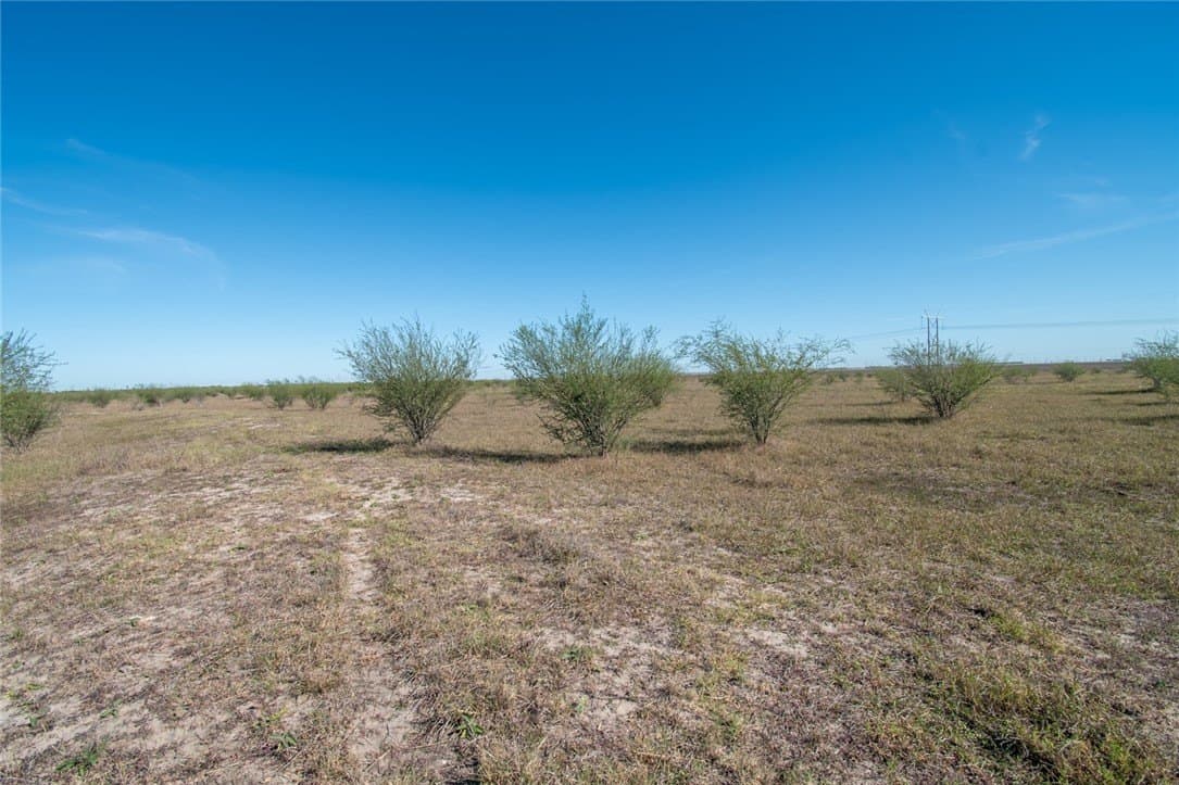 10.1 acres in Nueces County - photo 16