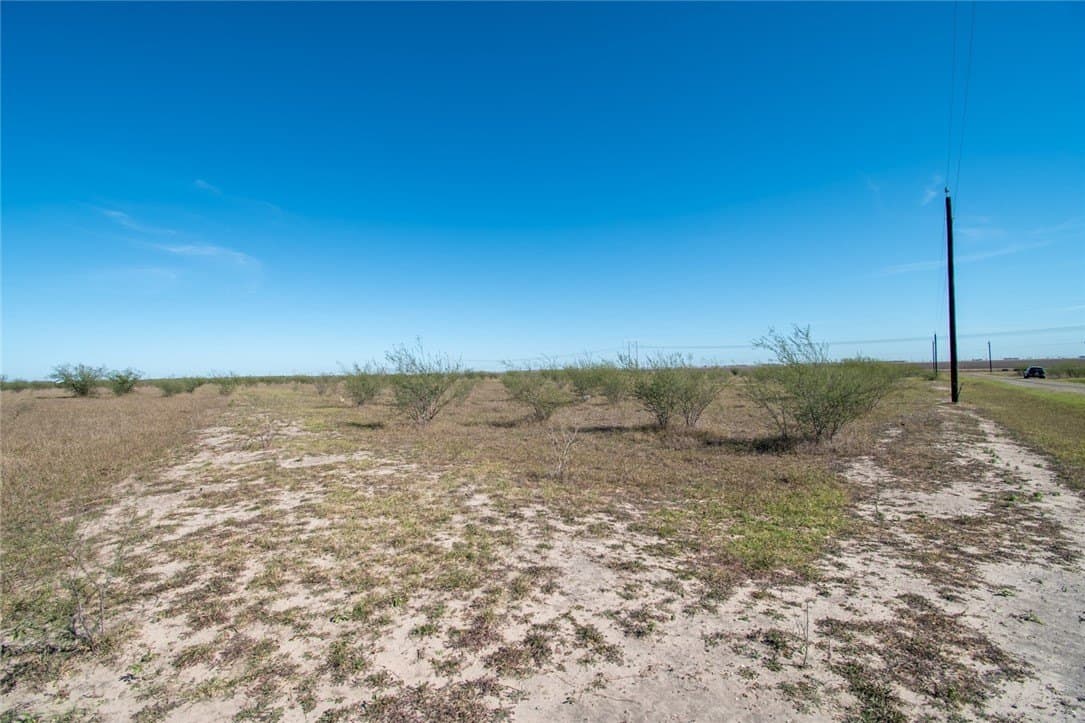 10.1 acres in Nueces County - photo 18