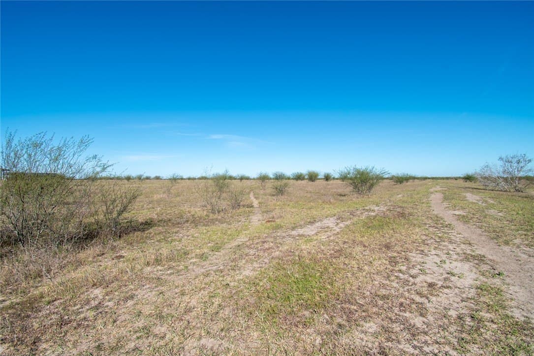 10.1 acres in Nueces County - photo 7