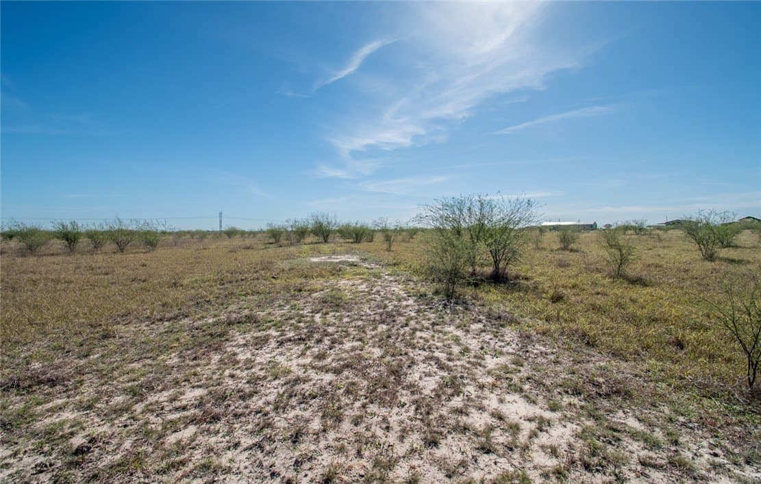 10.1 acres in Nueces County - photo 14