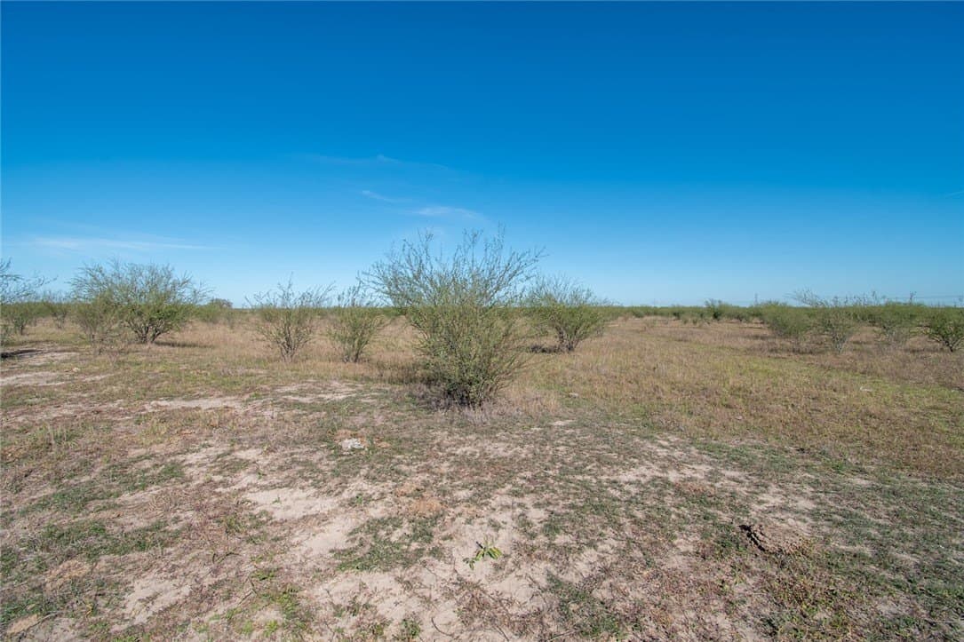 10.1 acres in Nueces County - photo 15