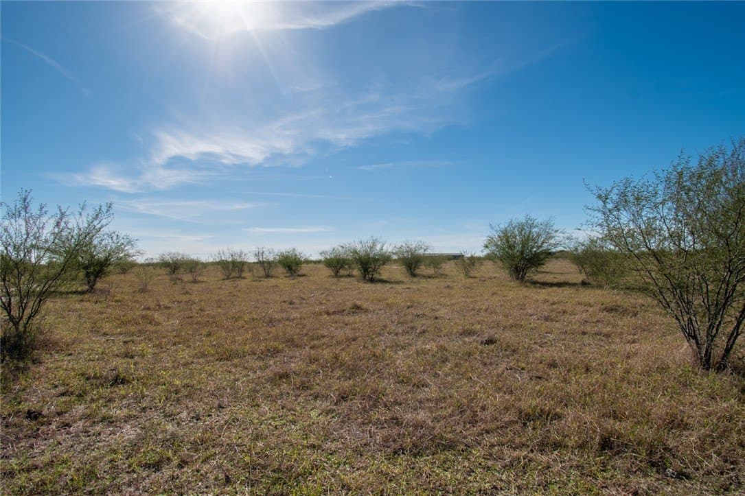 10.1 acres in Nueces County - photo 11