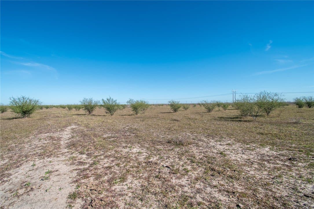 10.1 acres in Nueces County - photo 5
