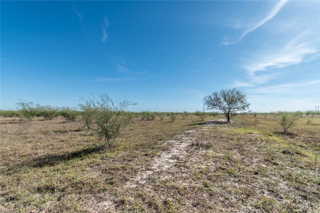 10.1 acres in Nueces County - photo 13