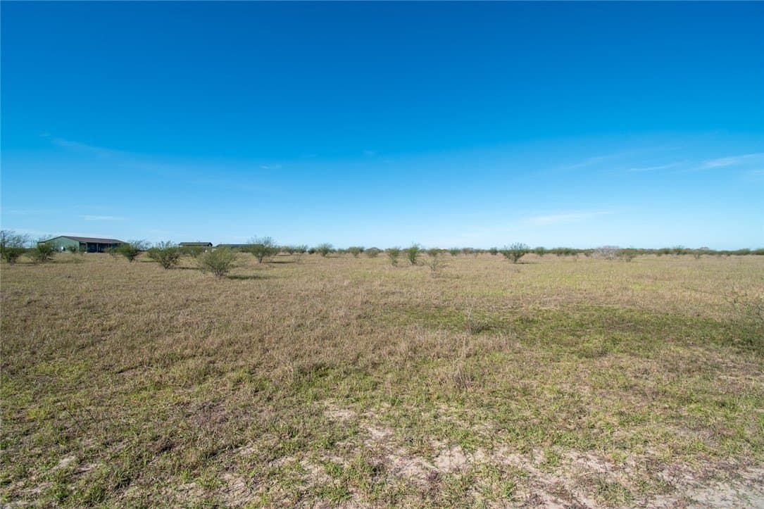 10.1 acres in Nueces County - photo 8