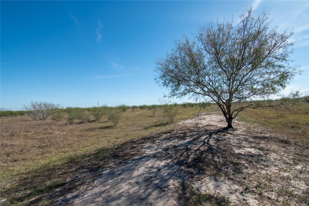 10.1 acres in Nueces County - photo 4