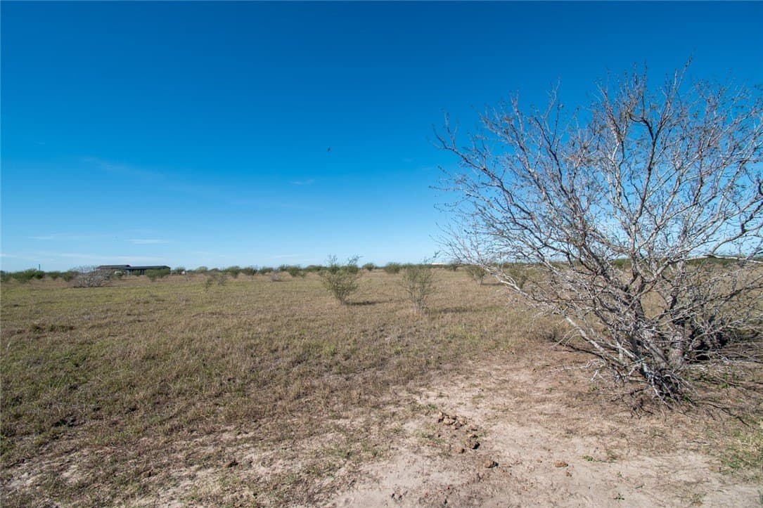 10.1 acres in Nueces County - photo 10