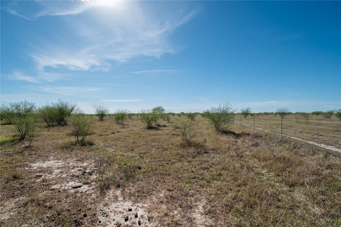 10.1 acres in Nueces County - photo 12