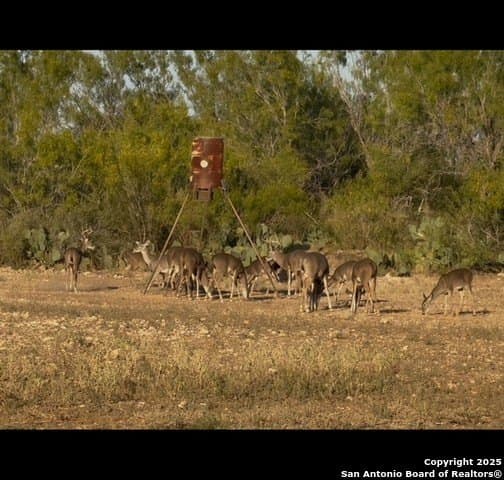 19.66 acres in Uvalde County - photo 3