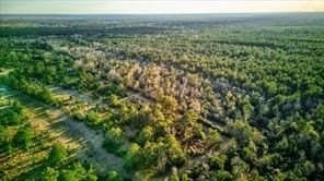 19.05 acres in Newton County - photo 14