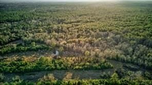 19.05 acres in Newton County - photo 13