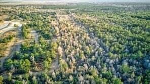 19.05 acres in Newton County - photo 15