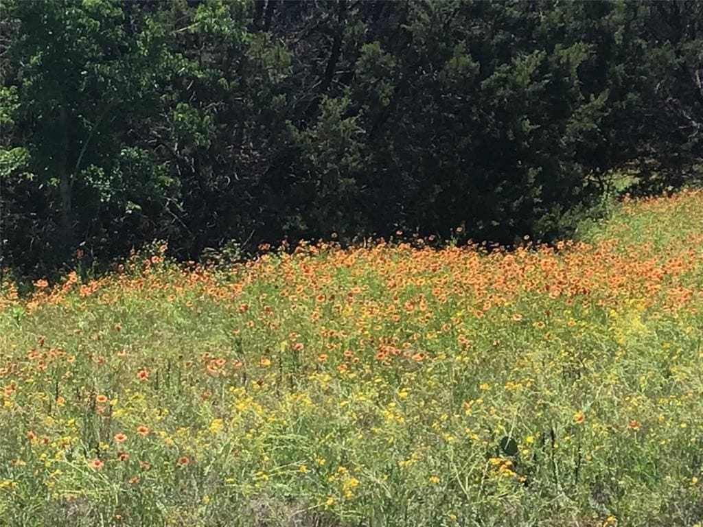 0.32 acres in Hill County - photo 15
