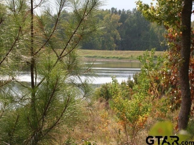 1.55 acres in Anderson County - photo 17