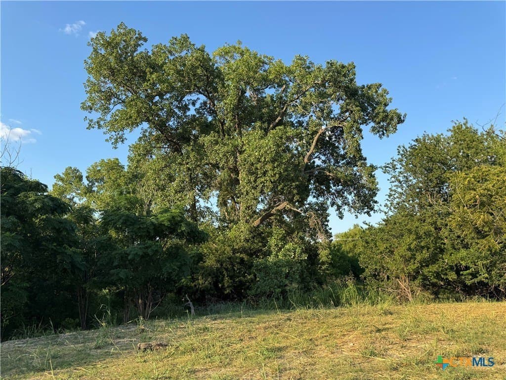 2.97 acres in Bell County - photo 4