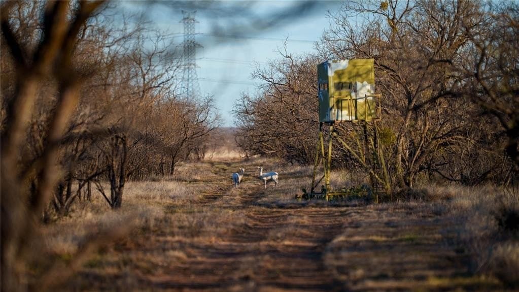 1,280 acres in Concho County - photo 34